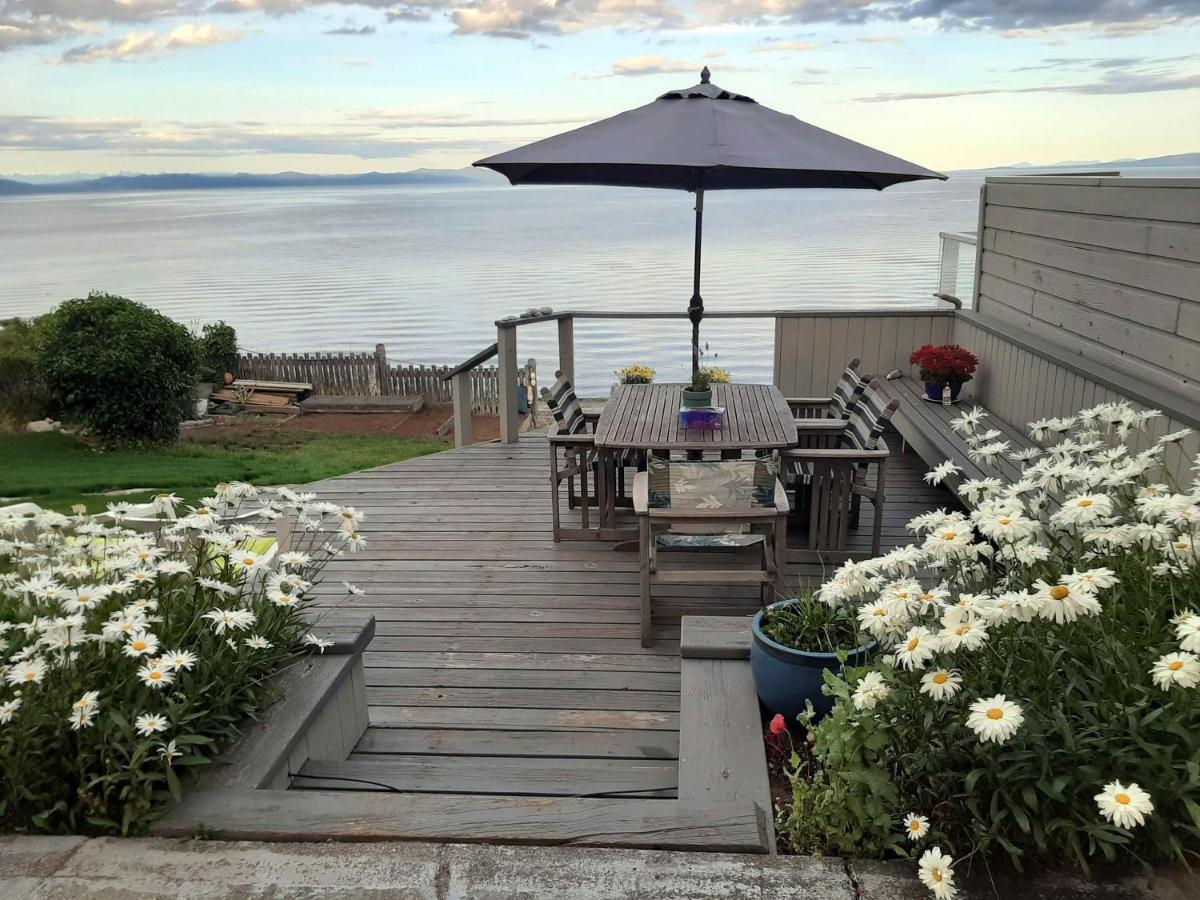 Oceanfront Paradise 科莫克斯 外观 照片